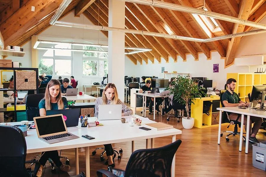 Marketing specialist wanted - job opportunity at Wolfpack Digital