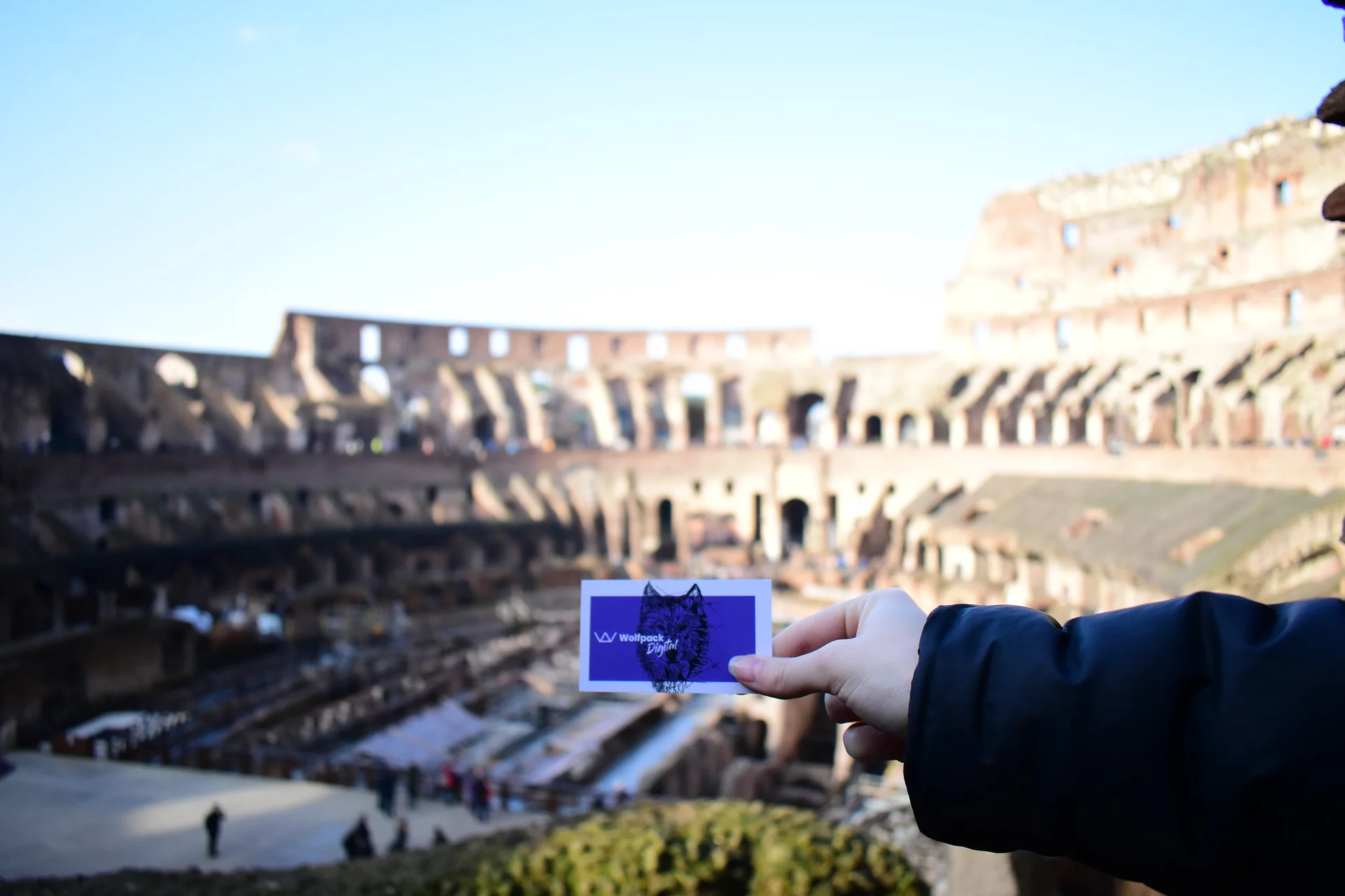 Blurred Colosseum in Rome behind a phone showing the Wolfpack Digital logo, marking the team's 5th anniversary trip